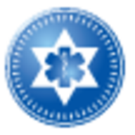 hospital-israel.ru-logo